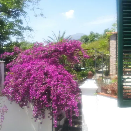 Apartmán Casa Matrone *